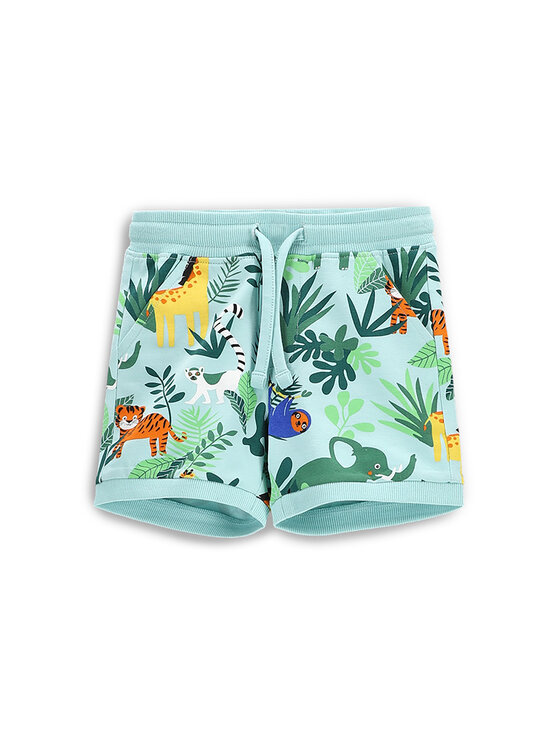 Coccodrillo Coccodrillo Sportshorts WC5121503TBN Grün Regular Fit