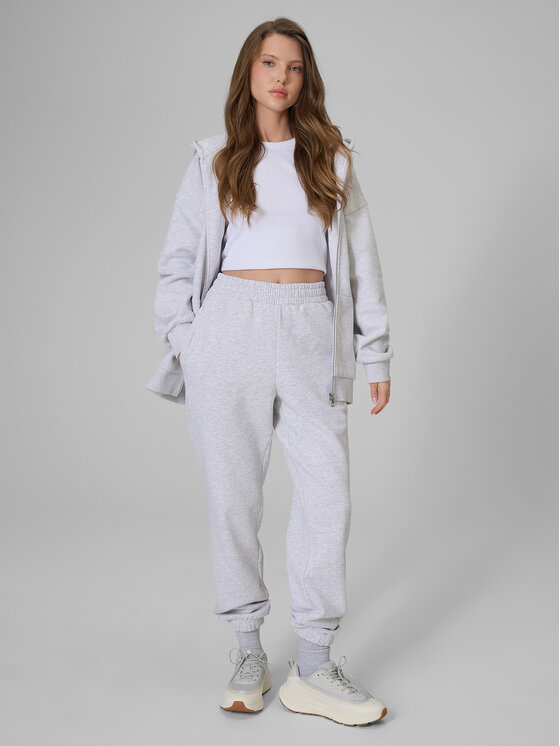 4F 4F Spodnie dresowe BASIC+ Szary jasny Regular Fit