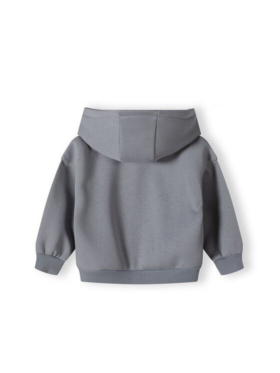 minoti minoti Bluza 16fleece 21 Szary Regular Fit