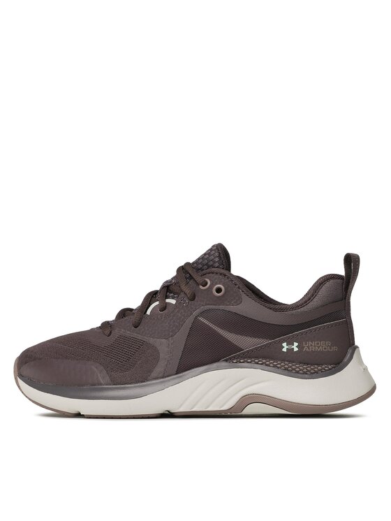 Under Armour Under Armour Čevlji za telovadbo UA W HOVR Omnia 3025054-108 Rjava