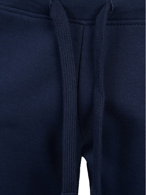 North Sails North Sails Kalhoty z materiálu 90 3204 000 | Sweatpant W Tmavomodrá Regular Fit