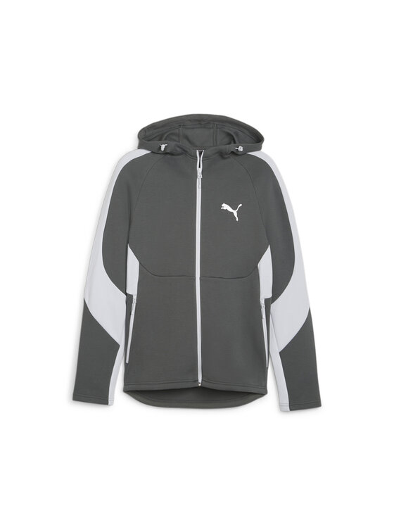 Puma Puma Bluza 678995 Szary Regular Fit