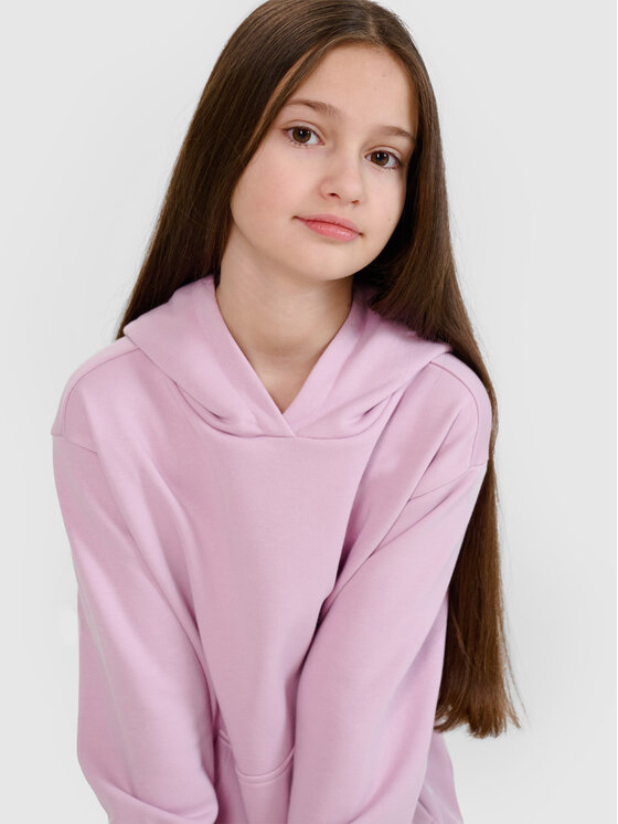 4F 4F Bluza BASIC+ Różowy Regular Fit