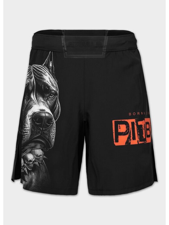 PITBULL PITBULL Szorty sportowe BLACKY Czarny Regular Fit