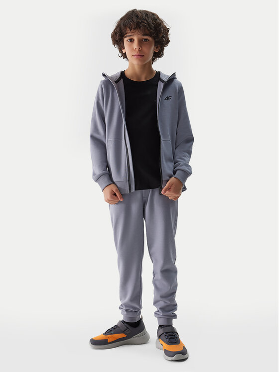 4F 4F Sportinės kelnės 4FJWSS24TTROM591 Mėlyna Regular Fit