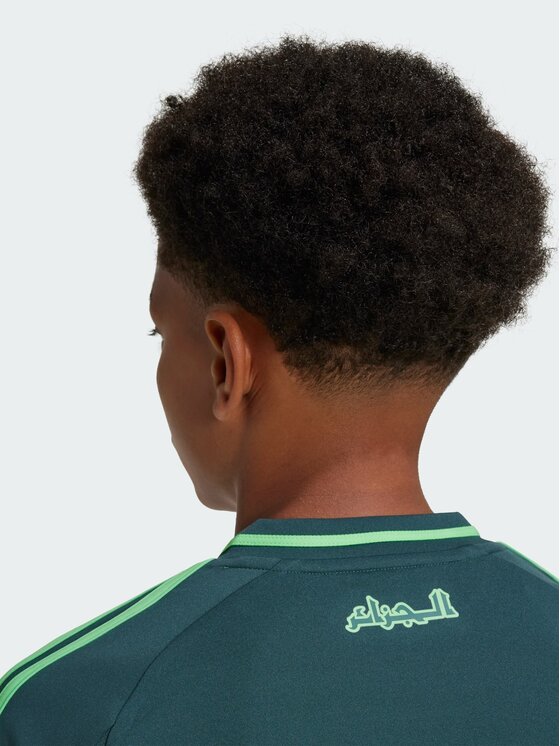adidas adidas Koszulka techniczna Algeria 24 Away Jersey Zielony Regular Fit