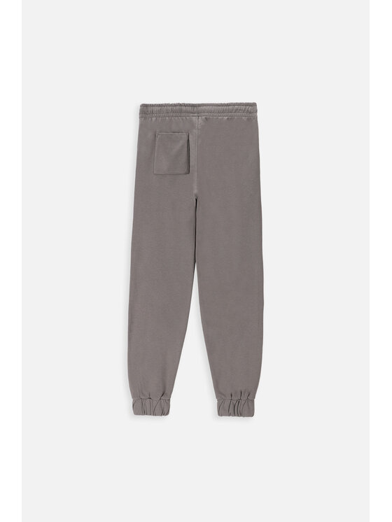 Lemon Explore Lemon Explore Spodnie dresowe WL4120104CWB-022 Kolorowy Regular Fit