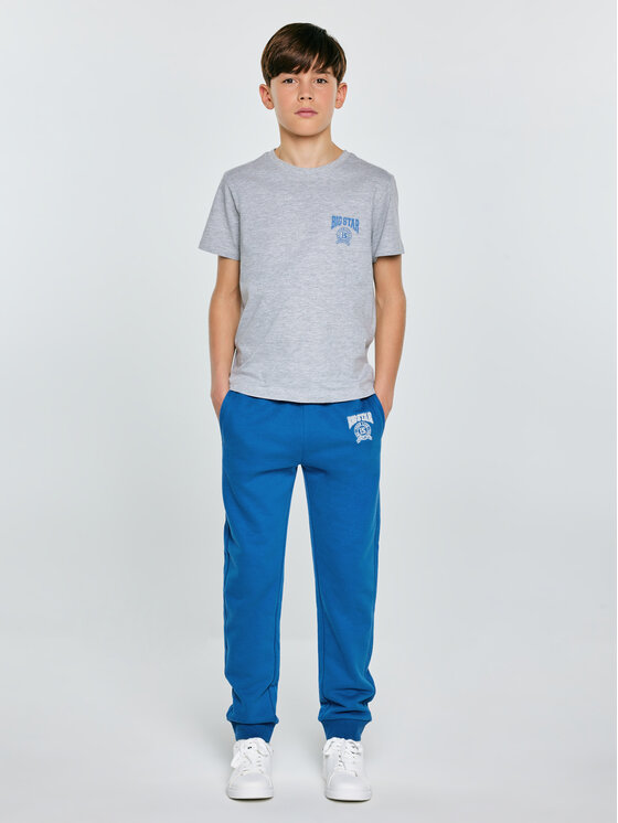 BIG STAR BIG STAR T-Shirt RAFER Szary Basic Fit