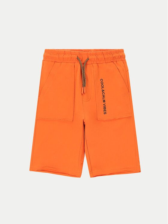 Coccodrillo Pantaloni scurți sport WC4120501VBC Portocaliu Regular Fit