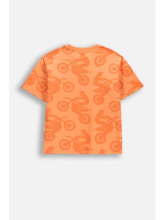 Coccodrillo Coccodrillo T-Shirt WC6143201HBJ-006 Pomarańczowy Regular Fit
