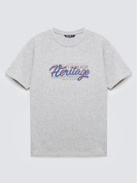 BIG STAR BIG STAR T-Shirt KEREN Szary Basic Fit