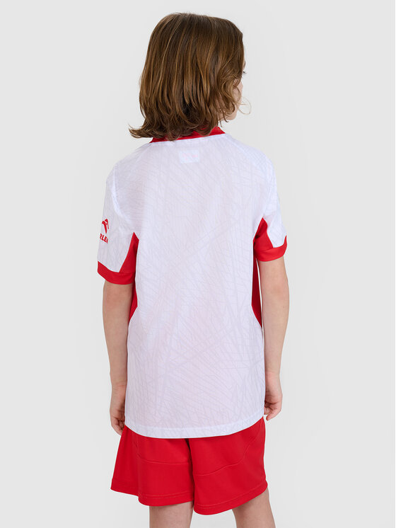 4F 4F Koszulka techniczna TEAMWEAR Kolorowy Regular Fit