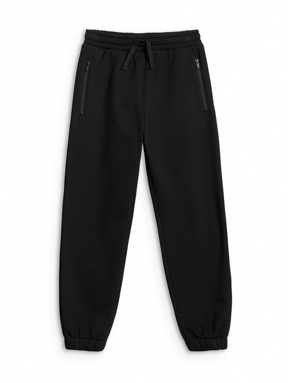 4F 4F Spodnie dresowe STREET SPORT Czarny Regular Fit