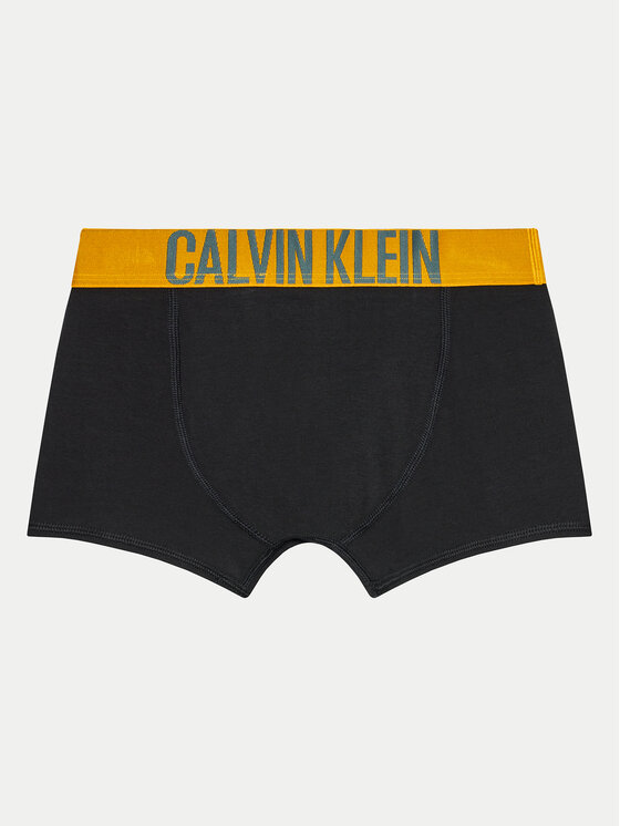 Calvin Klein Underwear Calvin Klein Underwear Σετ μποξεράκια 2 τμχ. B70B700488 Έγχρωμο
