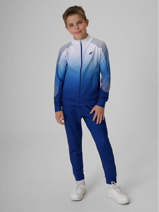 4F 4F Spodnie dresowe AQUA FORCE Kolorowy Regular Fit