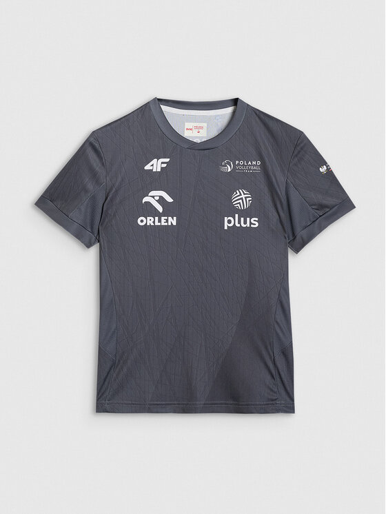 4F 4F Koszulka techniczna TEAMWEAR Kolorowy Regular Fit