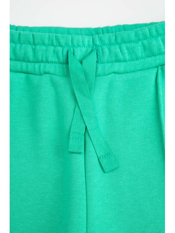 Coccodrillo Coccodrillo Teplákové kalhoty ZC6120102AGK-011 Zelená Regular Fit