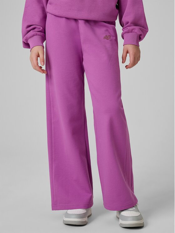 4F 4F Pantaloni da tuta 4FJRSS26TTROF1918-51S Viola Regular Fit
