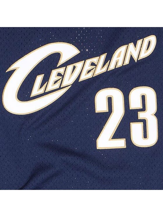 Mitchell & Ness Mitchell & Ness Tank top NBA SWINGMAN ALTERNATE JERSEY CAVALIERS 08 LEBRON JAMES Tmavomodrá Regular Fit