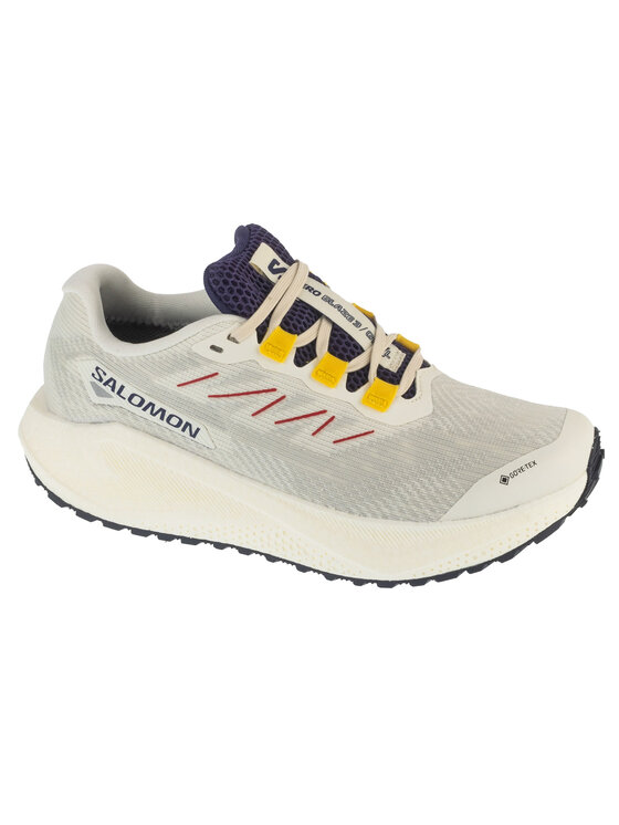 Salomon Salomon Buty do biegania Aero Blaze 3 Grvl GTX W Szary