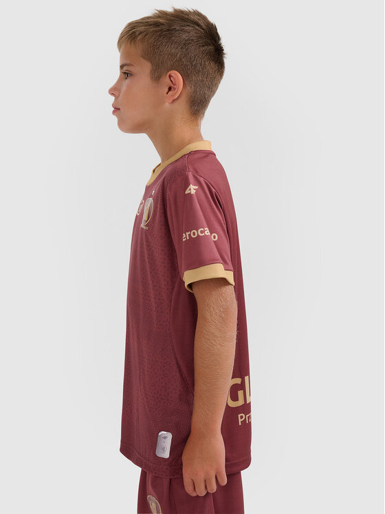 4F 4F Koszulka techniczna TEAMWEAR Kolorowy Regular Fit