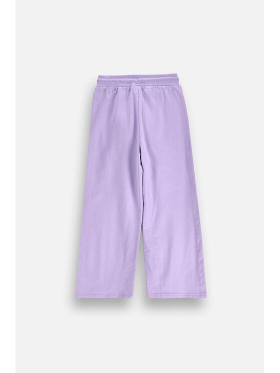 Coccodrillo Coccodrillo Spodnie dresowe ZC6120101HGJ-016 Fioletowy Regular Fit