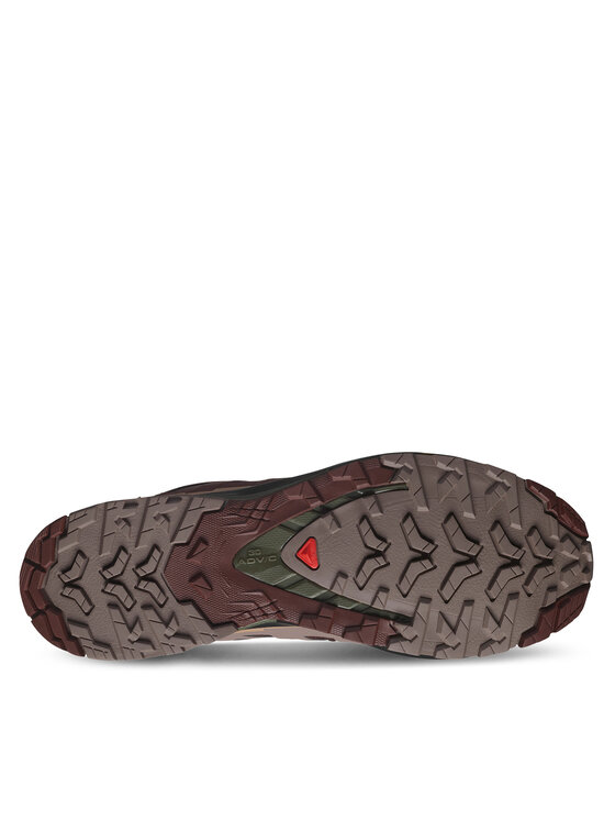 Salomon Salomon Buty do biegania Xa Pro 3D V9 Gore-Tex L47583500 Brązowy