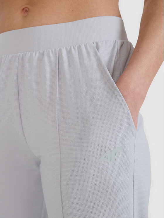 4F 4F Spodnie dresowe MULTI ACTIVE Szary jasny Regular Fit