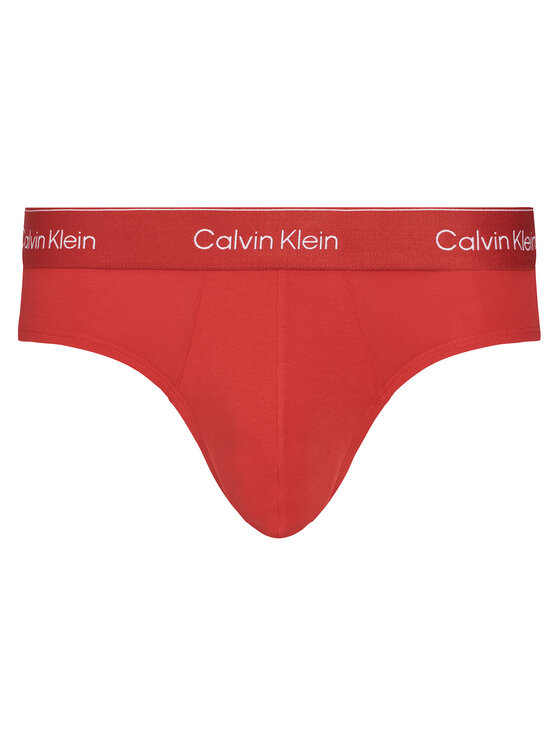 Calvin Klein Underwear Calvin Klein Underwear Set slip gaćica﻿ LV00NB4563 Šarena