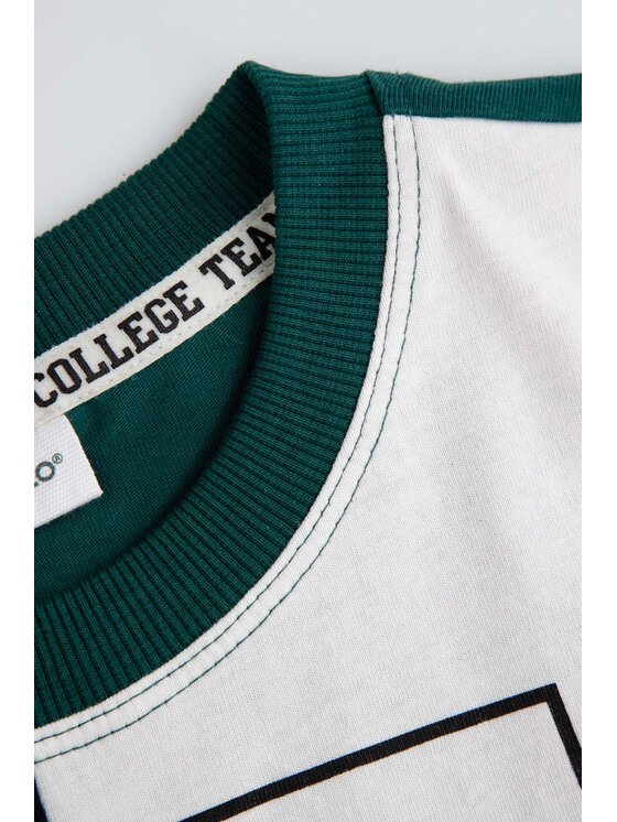 Coccodrillo Coccodrillo T-Shirt ZC5143201ABJ-022 Kolorowy Regular Fit