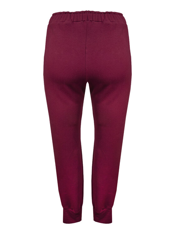 DKaren Sport DKaren Sport Spodnie dresowe Seattle Bordowy Classic Fit