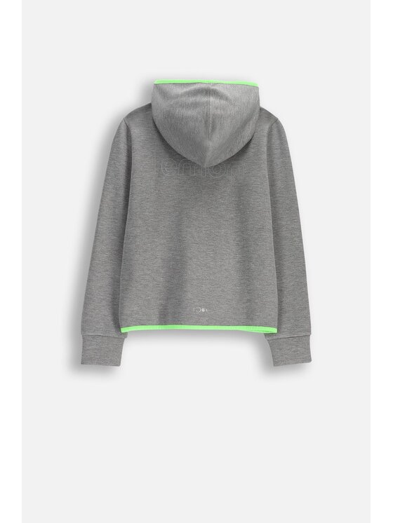 Lemon Explore Lemon Explore Bluza WL6132402ACB-019 Szary Regular Fit