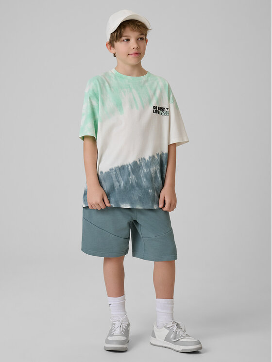 4F 4F Szorty sportowe SKATE & RIDE Turkusowy Regular Fit