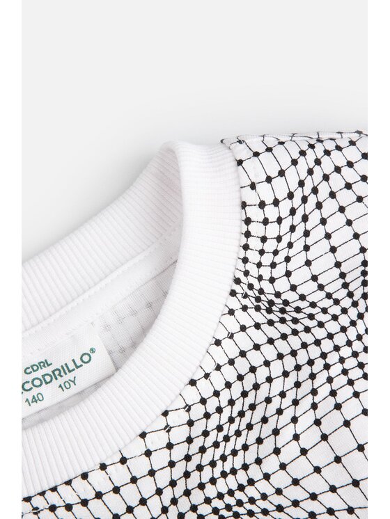 Coccodrillo Coccodrillo T-Shirt ZC4143203DBJ-022 Kolorowy Regular Fit