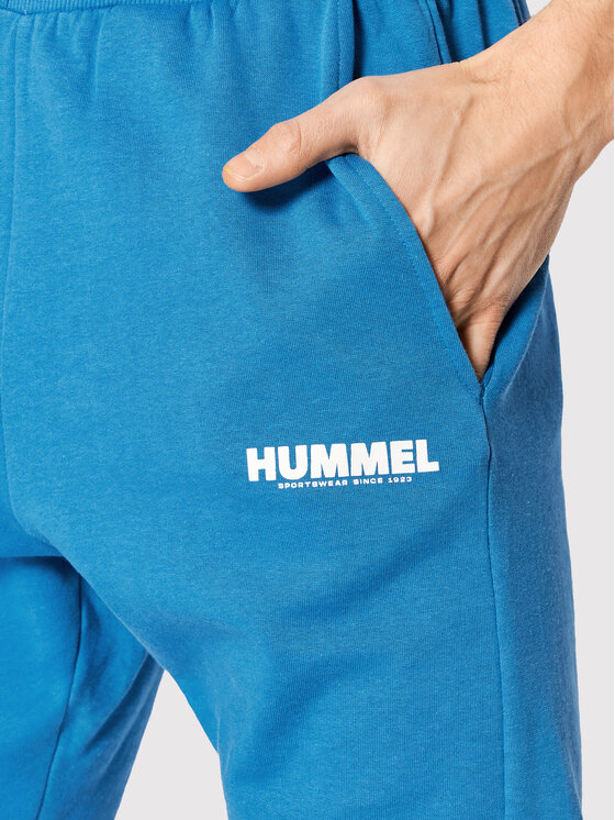 Hummel Sportshorts Fit Legacy Blau Regular 212568