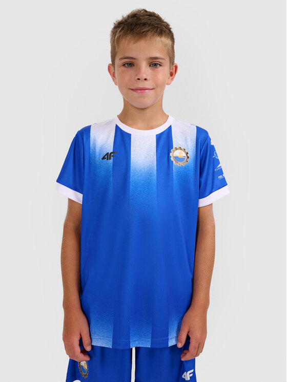 4F 4F Koszulka techniczna TEAMWEAR Kolorowy Regular Fit