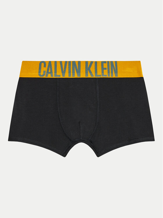 Calvin Klein Underwear Calvin Klein Underwear Σετ μποξεράκια 2 τμχ. B70B700488 Έγχρωμο