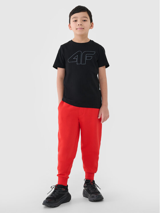 4F 4F Spodnie dresowe BASIC+ Pomarańczowy Regular Fit