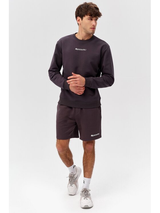 ROUGH RADICAL ROUGH RADICAL Bluza COTTON ACTIVE MEN Szary Regular Fit