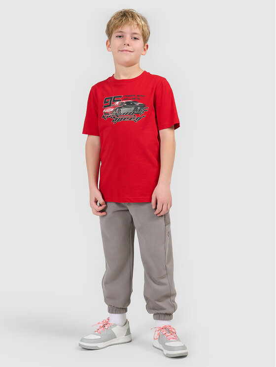 4F 4F Spodnie dresowe ESPORTS RACING Szary Regular Fit