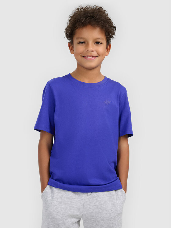 4F 4F T-Shirt BASIC+ Niebieski Regular Fit