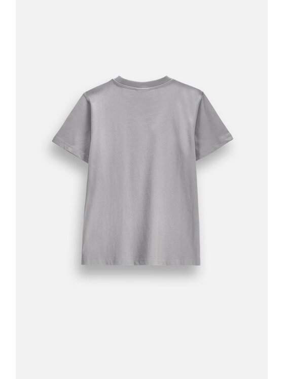 Coccodrillo Coccodrillo T-Shirt ZC6143204VBA-019 Szary Regular Fit