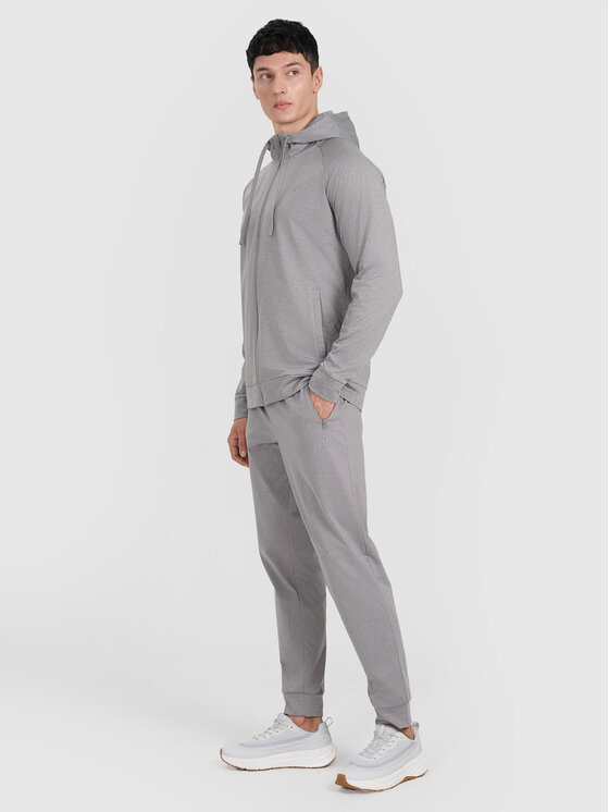 4F 4F Spodnie dresowe MULTI ACTIVE Szary Regular Fit