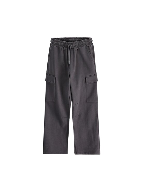 Coccodrillo Coccodrillo Spodnie dresowe ZC6120204WBJ-020 Szary Regular Fit
