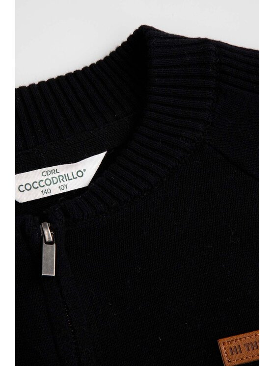 Coccodrillo Coccodrillo Sveter ZC5172201CBJ-021 Čierna Regular Fit