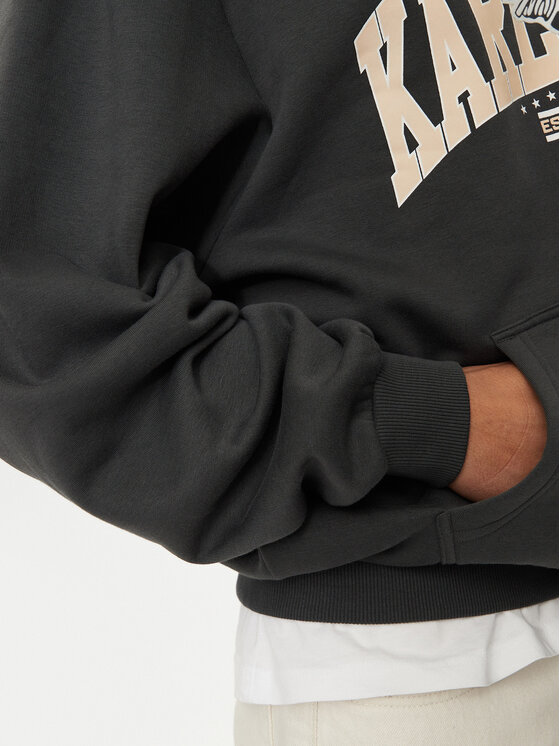 Karl Kani Karl Kani Суитшърт Eagle Print 60210115 Сив Regular Fit