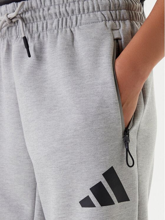 adidas adidas Pantaloni trening Z.N.E. JD9586 Gri Regular Fit