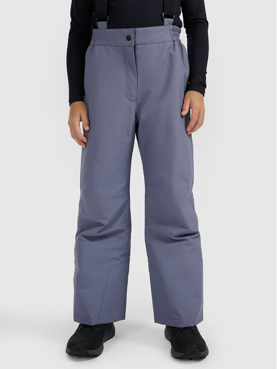 4F 4F Spodnie narciarskie BASIC SKI Szary Regular Fit