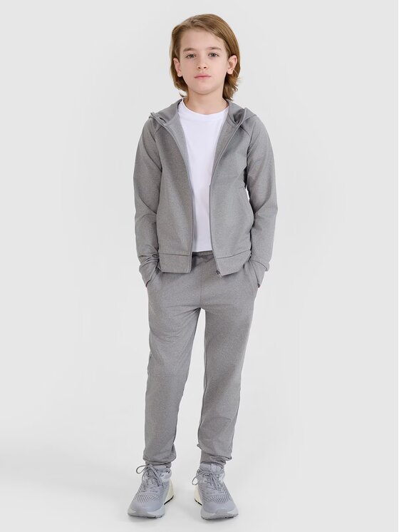 4F 4F Bluza techniczna 4FJWSS25TFSWM557-27M Szary Regular Fit