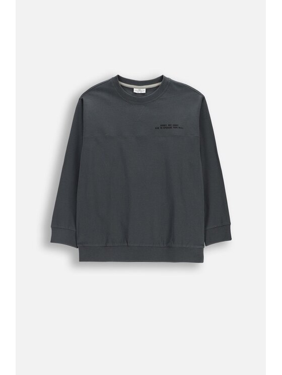 Coccodrillo Coccodrillo Longsleeve WC6143102RBJ-020 Szary Regular Fit